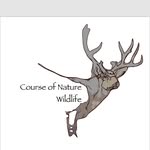 Chad Spalding - @course_of_nature_wildife - Instagram