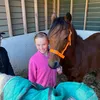 Chad the speedy horse - @chad.speedy.show - TikTok