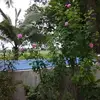KruPal_Patel - @chad.stalcup - TikTok