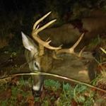 Chad Staley - @williamstaley70 - Instagram