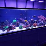 Chad Stanfield - @chad.stanfield - Instagram