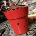 Chad Patrick Stanford - @chadthepot - Instagram