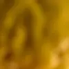 chad stanford - @chadstanford1972 - TikTok