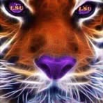 Chad Stelly - Facebook