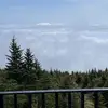 Chad Stelly - @chad.stelly - TikTok