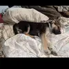Chad Stiles - @chad.stiles - TikTok