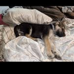 Chad Stiles - @chadstiles7 - Instagram