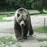 Chad Switzer - @chad.switzer.71 - Instagram