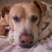 Chad Tessier - Facebook