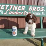 Chad Tompkins - @chadtompkins - Instagram
