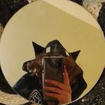 Chad Tracy - @chad_tracy_ - Instagram
