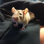 Chad Tracy - @tracy.chad - Instagram