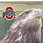 Chad Vaughn - @cboxx75 - Instagram