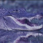 Chad Gator > Virgin Croc - @gatorwingism - Instagram