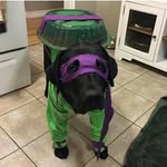 Chad Warden - @joosticem - Instagram