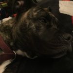 Chad Watt - @chadwatt83 - Instagram