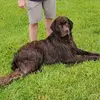 Chad Weiss - @chad.weiss6 - TikTok