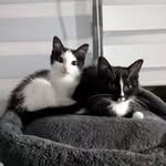 Chad Wellman - @wellman_chad - Instagram