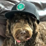 Chad Whipkey - @chad.whipkey - Instagram