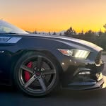 Chad Whitlock - @026_saleenr - Instagram