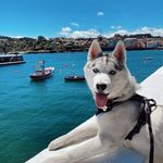 Chad Wiles - @wiles2301 - Instagram