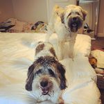 Chad Wiles - @cha1.10 - Instagram