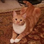Chad Wiles - @chadl770 - Instagram