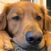 Chad Winter - @chadwinter1 - TikTok