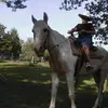 Chad Wieman - @chad.wieman - TikTok