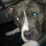 Chad Woods - @_chad._.12 - Instagram