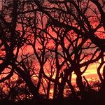 Chad Wooten - @chadwootenpc - Instagram