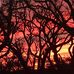 Chad Wooten - Facebook