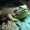 chad wooten - @chad.wooten67 - TikTok