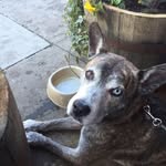 Chadworth Noonkester - @chadworthnoonkester - Instagram
