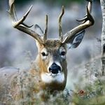 Chad Wyatt - @chadwyatt9436 - Instagram
