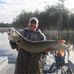 Chad Ziegler - Facebook
