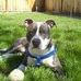 Chadwick Webb - Facebook