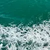 Chaean - @chaean.park - TikTok