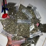 🍀ของเขียวประชาอุทิศ🔥 - @baan_chaigreen_90 - Instagram