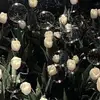Chaigreen - @hello_to_me5 - TikTok