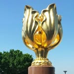Chan Cheung Fu - @chancheungfu - Instagram