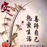 Chan Cheung Hoi Han - @chancheunghoi - Instagram