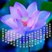 Chan Ping - Facebook