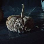 Ping-Shun Chan - @chanpingshun - Instagram