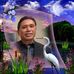 Chan Saephan - Facebook