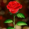 Mor chan Singh - @mor.chan.singh0 - TikTok