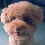 Chan Wendy - @chanwendywendy - Instagram