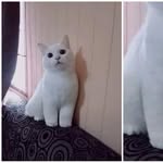 chanwendy - @chanwendy40 - Instagram