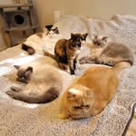 Wendy Chan - @wendy.chan.524596 - Instagram