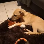 @chance_berger_creole - Instagram